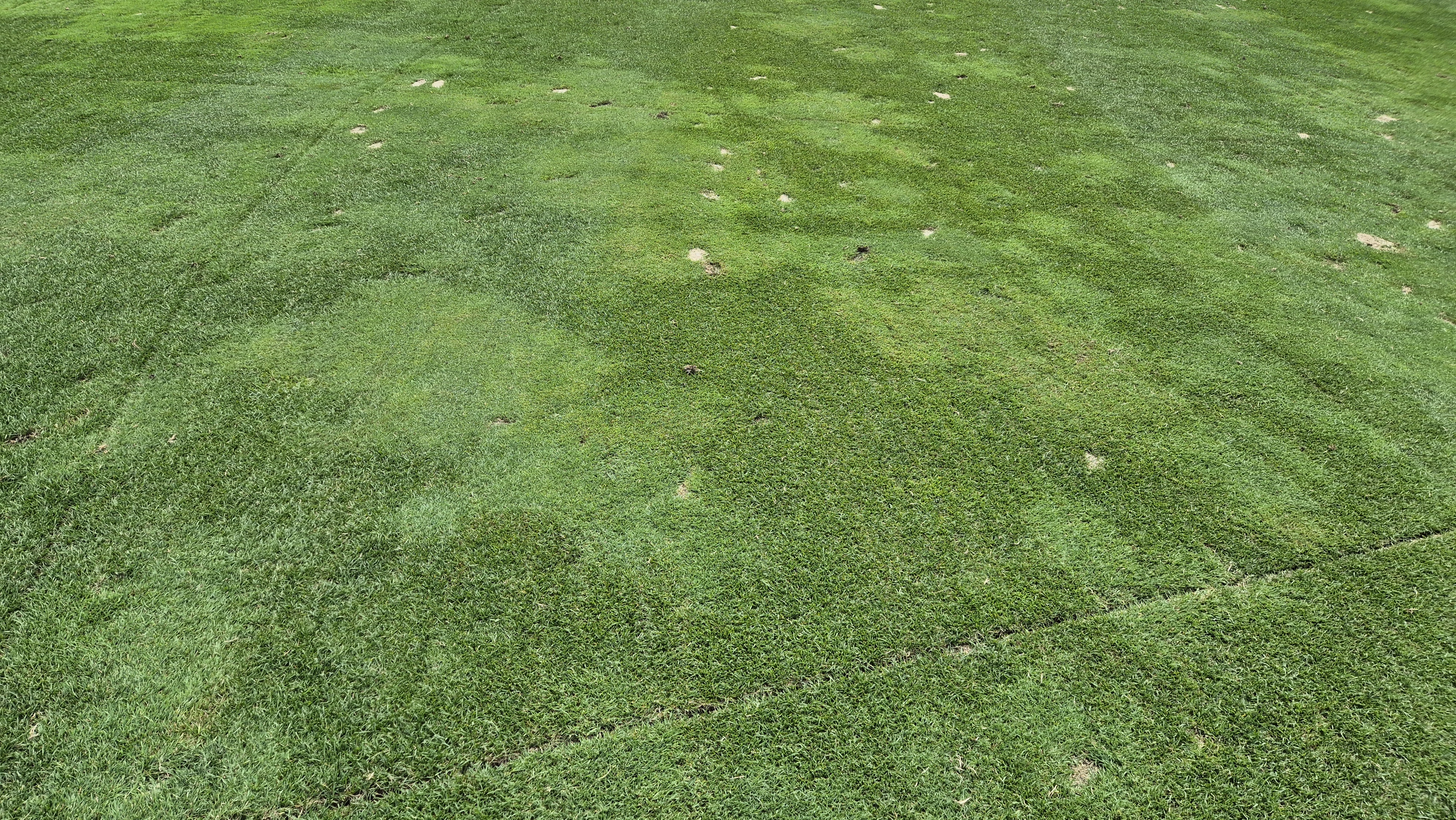 오너스gc 라운드 후기