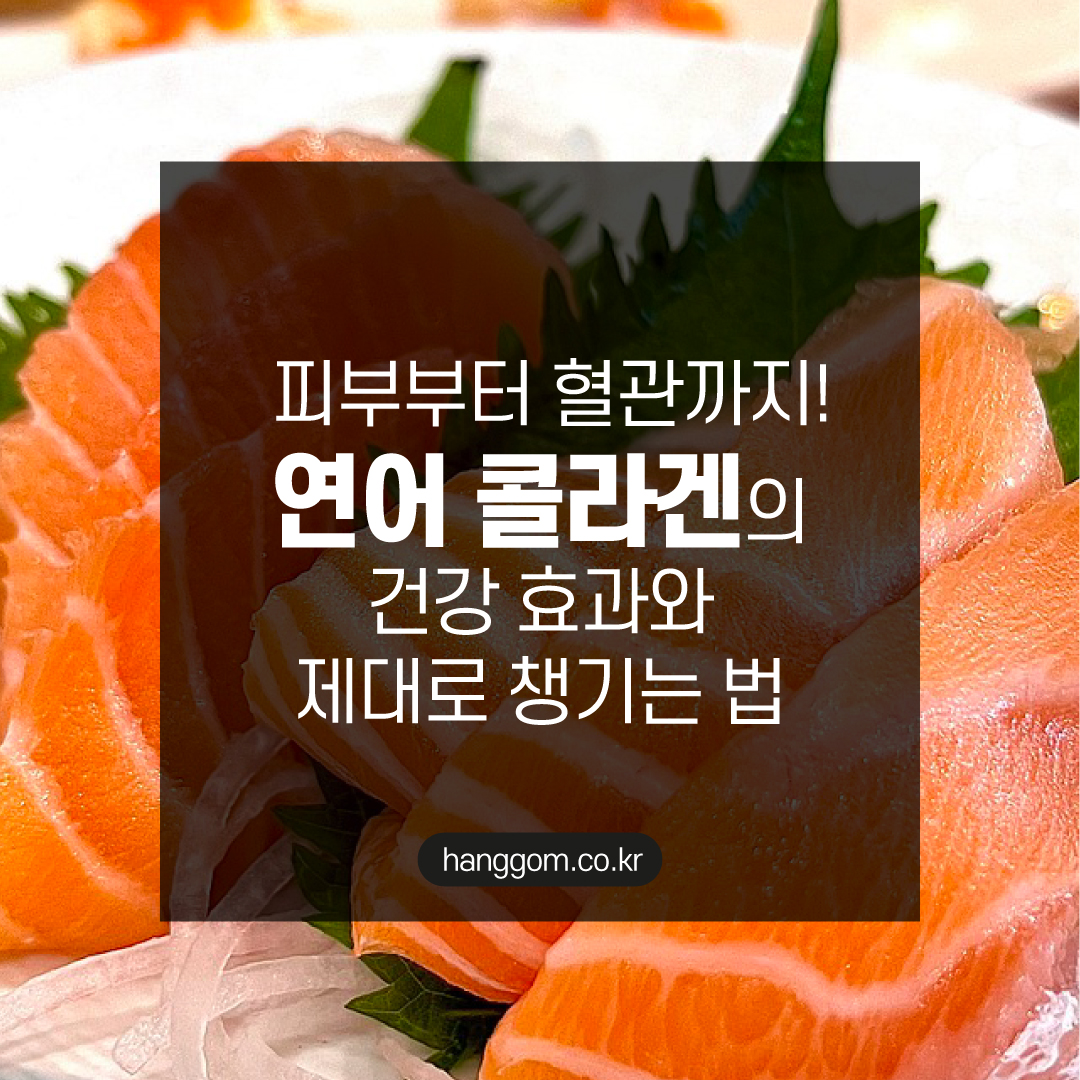 피부부터 혈관까지! 연어 콜라겐의 건강 효과와 제대로 챙기는 법