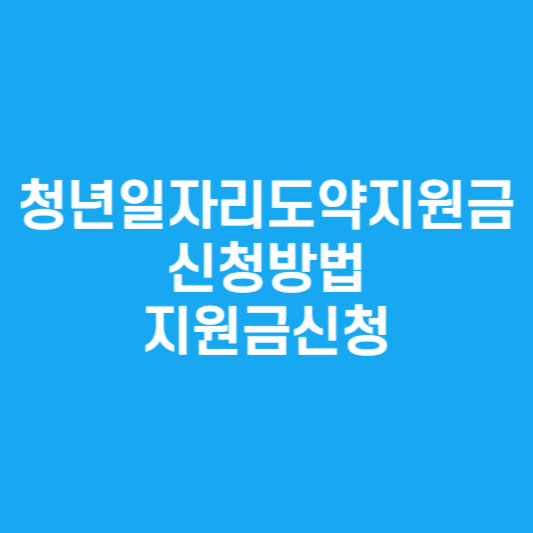 청년일자리도약지원금