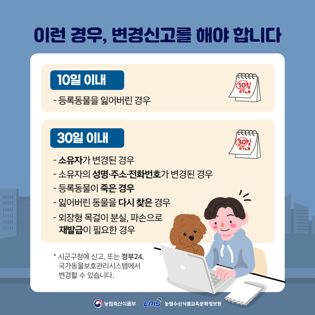 반려견 동물등록 자진신고 기간 안내