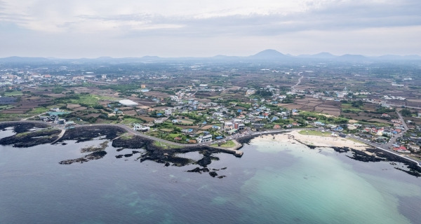 감성 충전 완료! 힐링되는 국내 카페 여행지 추천 제주