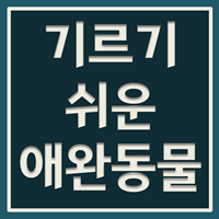 키우기 쉬운 반려동물 1