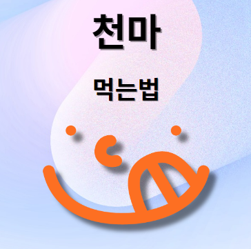 천마 먹는법