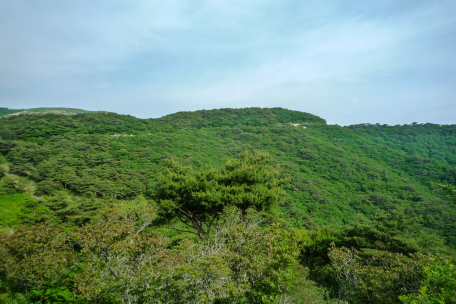 마늘로드 한국 명산 경남 양산 천성산 등산 mountain hiking
