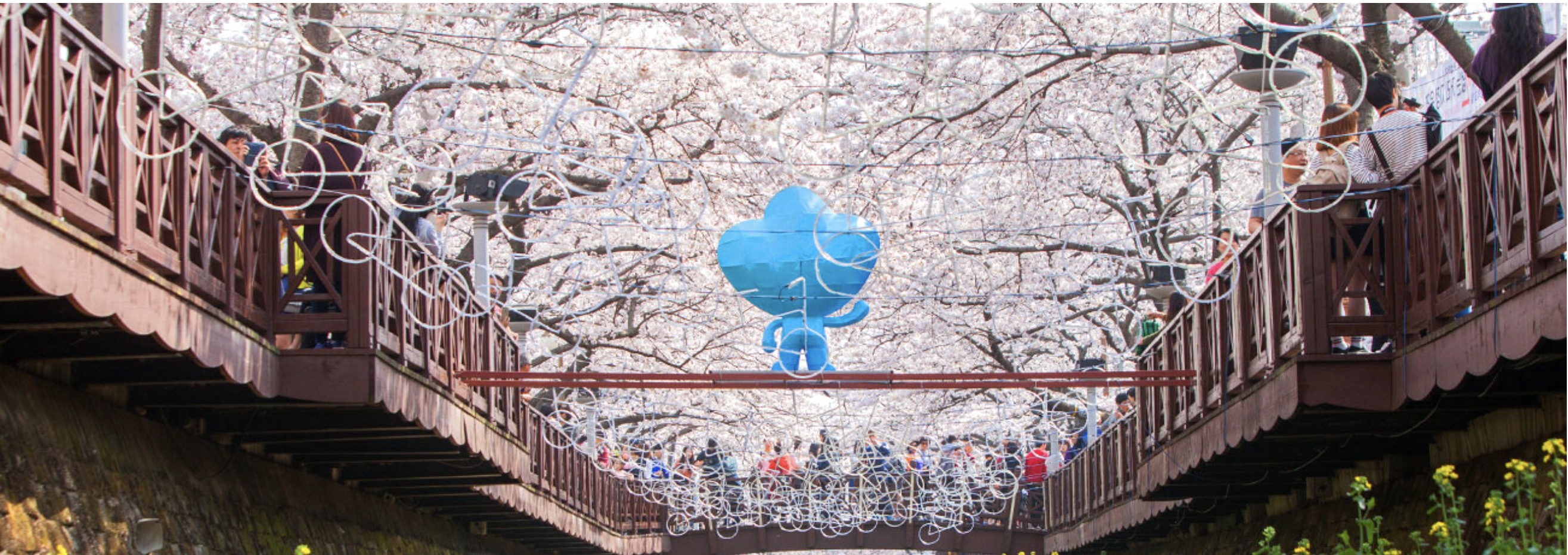 2025 진해군항제