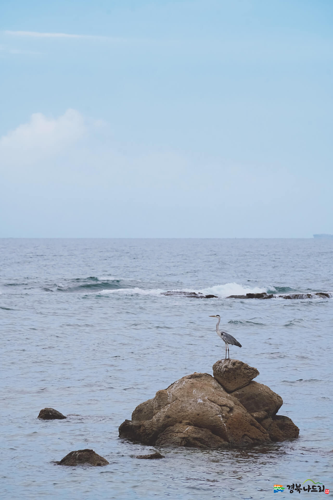 포항울산드라이브코스 호미곶