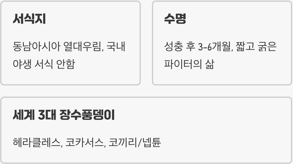 세 개의 뿔에 숨겨진 비밀&amp;#44; 코카서스장수풍뎅이의 강력한 무기와 싸움 기술