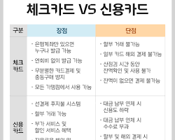 장점 vs 단점, 추천 대상