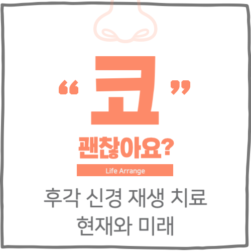 후각 신경 재생 치료