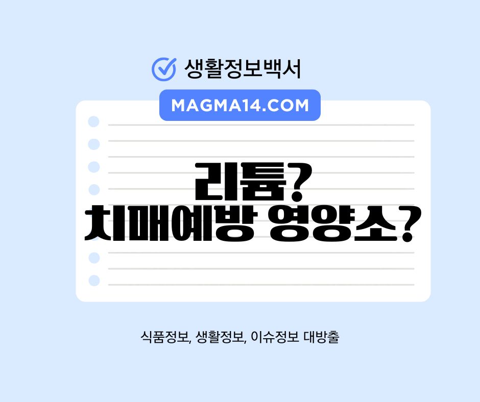 리튬 치매예방