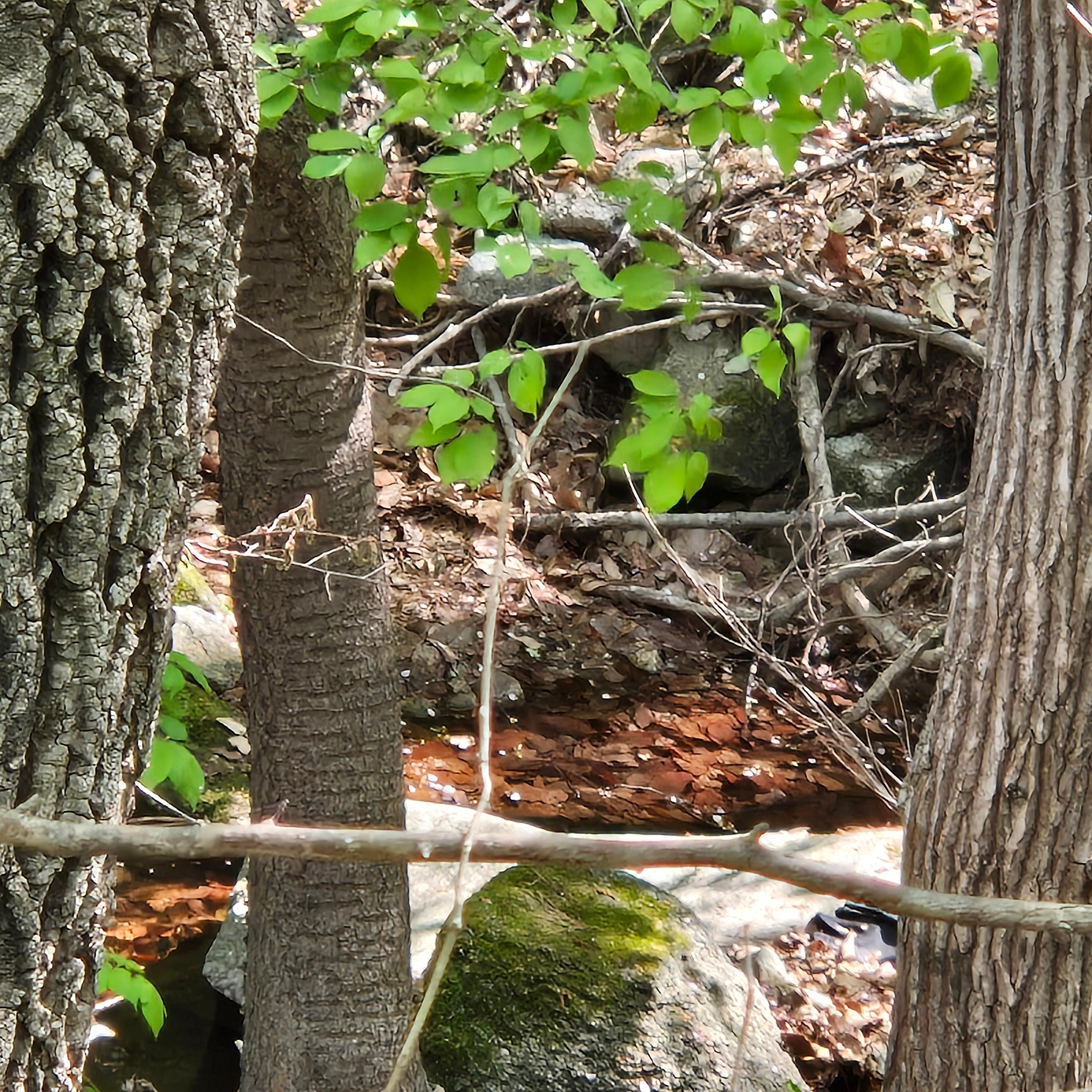 마니산 입장료&amp;#44; 마니산&amp;#44; 마니산 등산&amp;#44; 마니산 등산로&amp;#44; 강화도 마니산&amp;#44; 강화 마니산&amp;#44; 함허동천&amp;#44; 함허동천로&amp;#44; 마니산 함허동천로&amp;#44; 마니산 험허동천&amp;#44; 마니산 계곡로&amp;#44; 마니산 단군로&amp;#44; 마니산 주차장