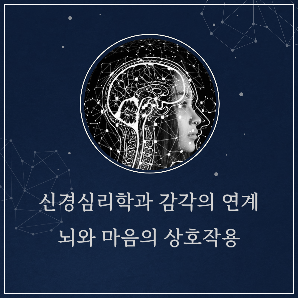 신경심리학과 감각의 연계: 뇌와 마음의 상호작용