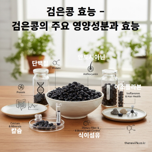 검은콩 주요 영양성분과 효능 – 단백질, 안토시아닌, 이소플라본, 식이섬유, 칼슘 등이 함유된 천연 종합영양식품