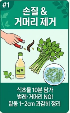 미나리 무침