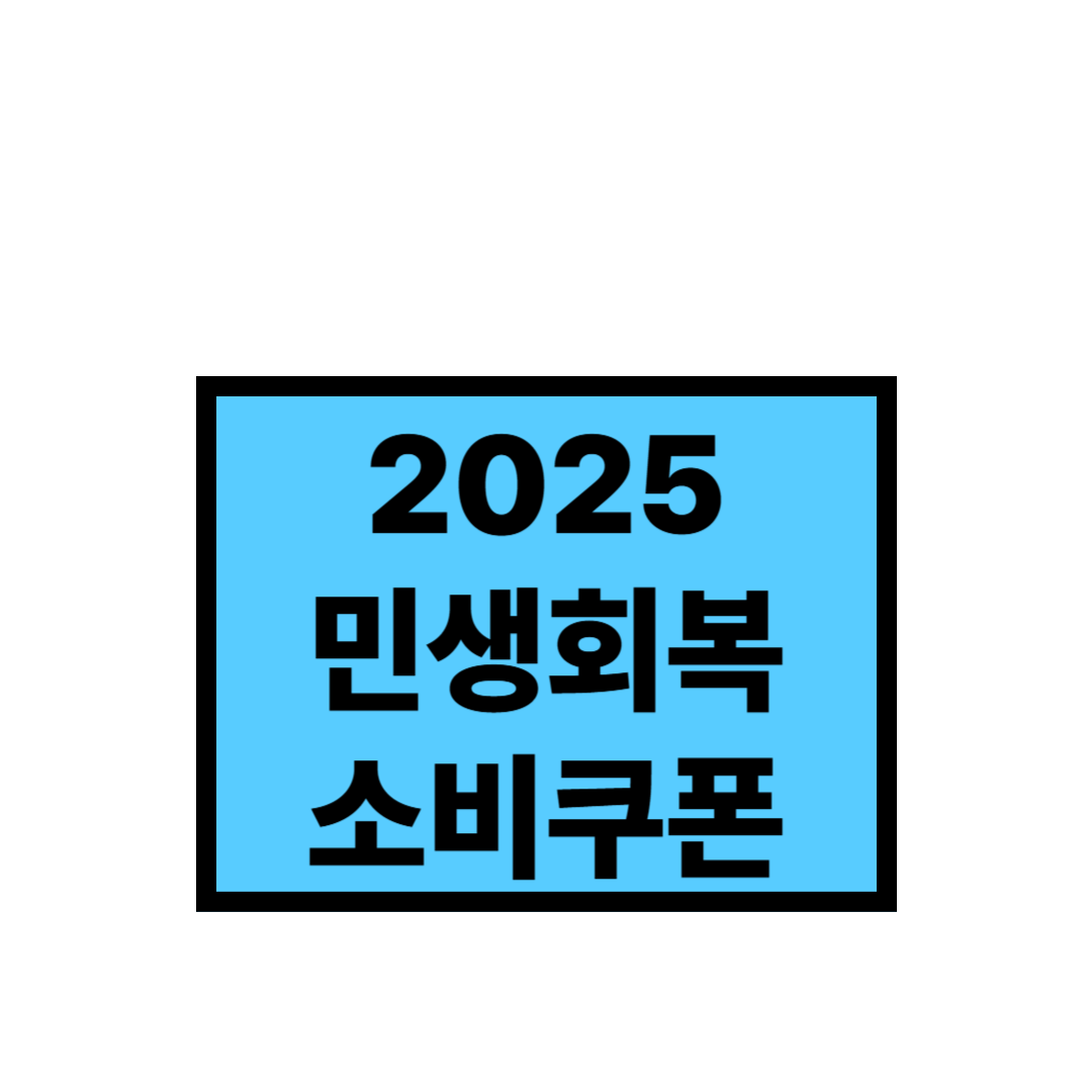 2025 민생회복 소비쿠폰