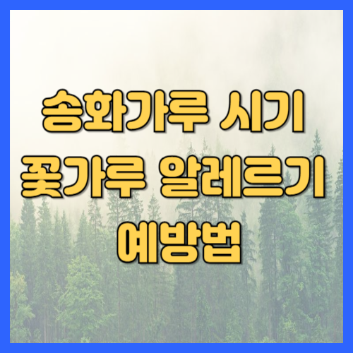 송화가루 시기