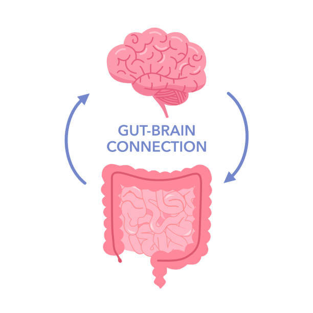 스트레스를 줄이면 장도 건강해집니다