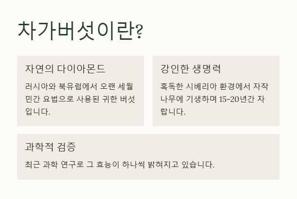 차가 버섯의 정의