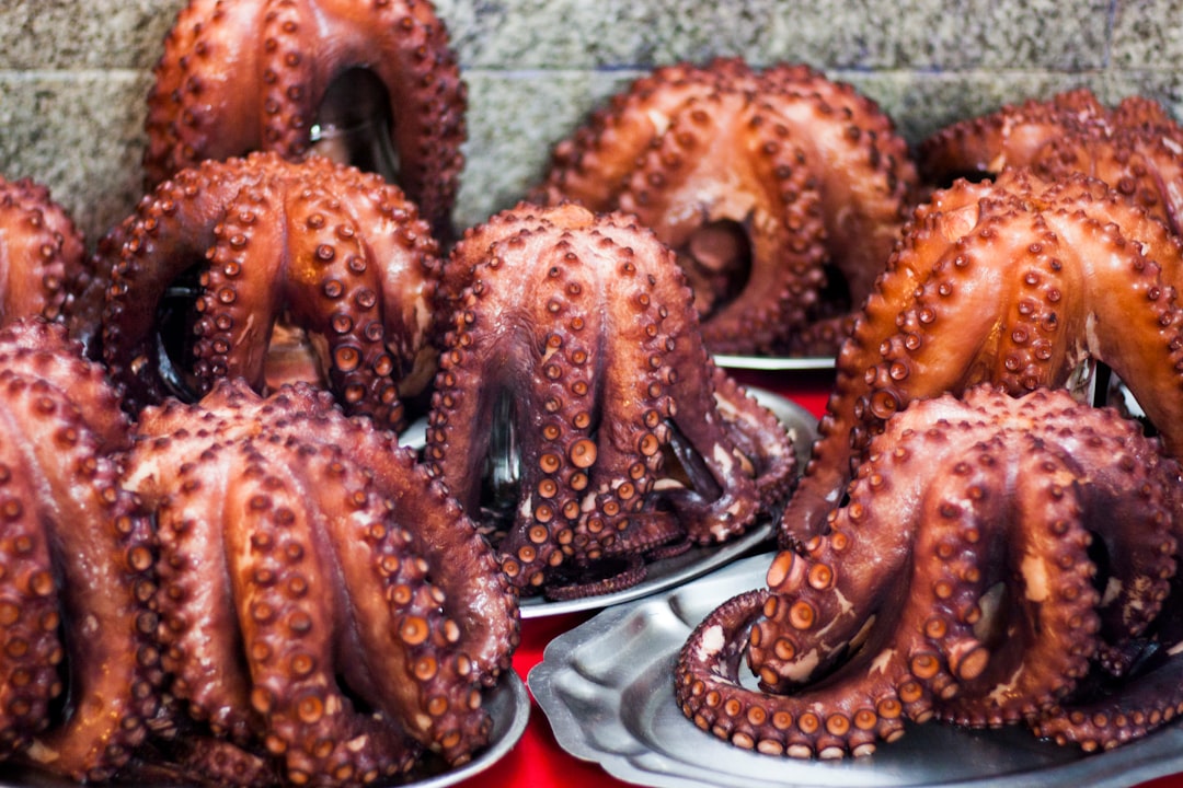 Octopus