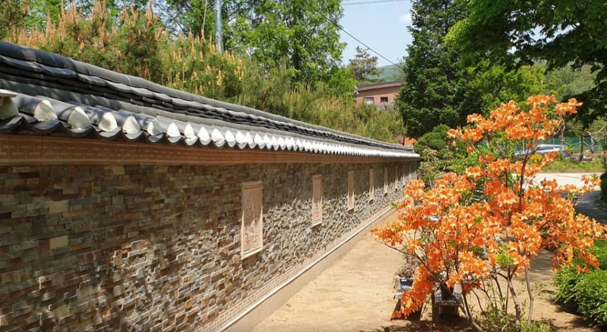 영월-보보스캇-캠핑장