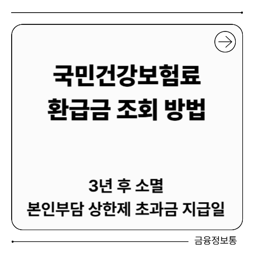 국민건강보험료 환급금 조회 방법 3년 후 소멸 본인부담 상한제 초과금 지급일