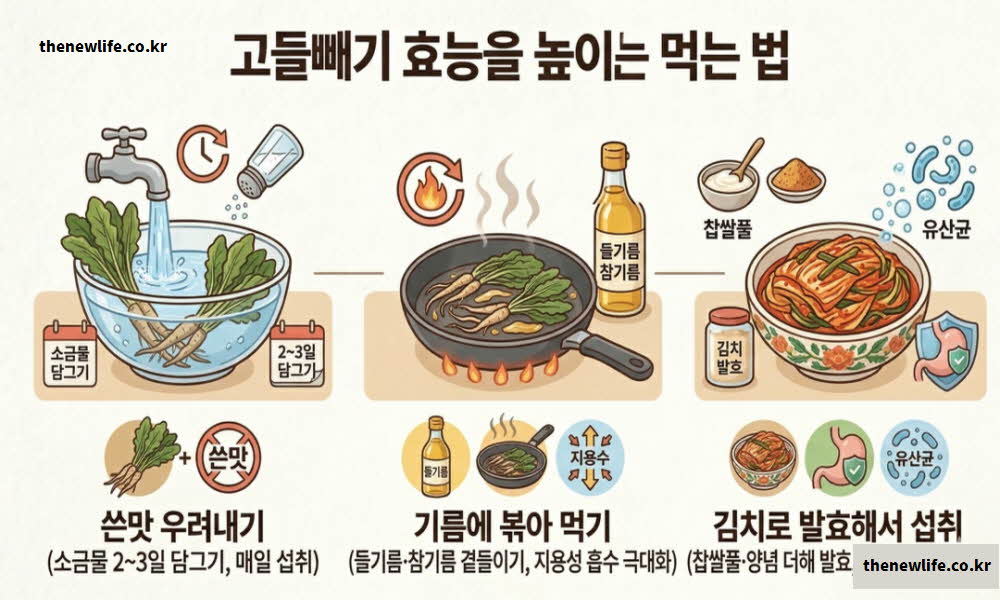 고들빼기 효능 높이는 먹는법 조리법