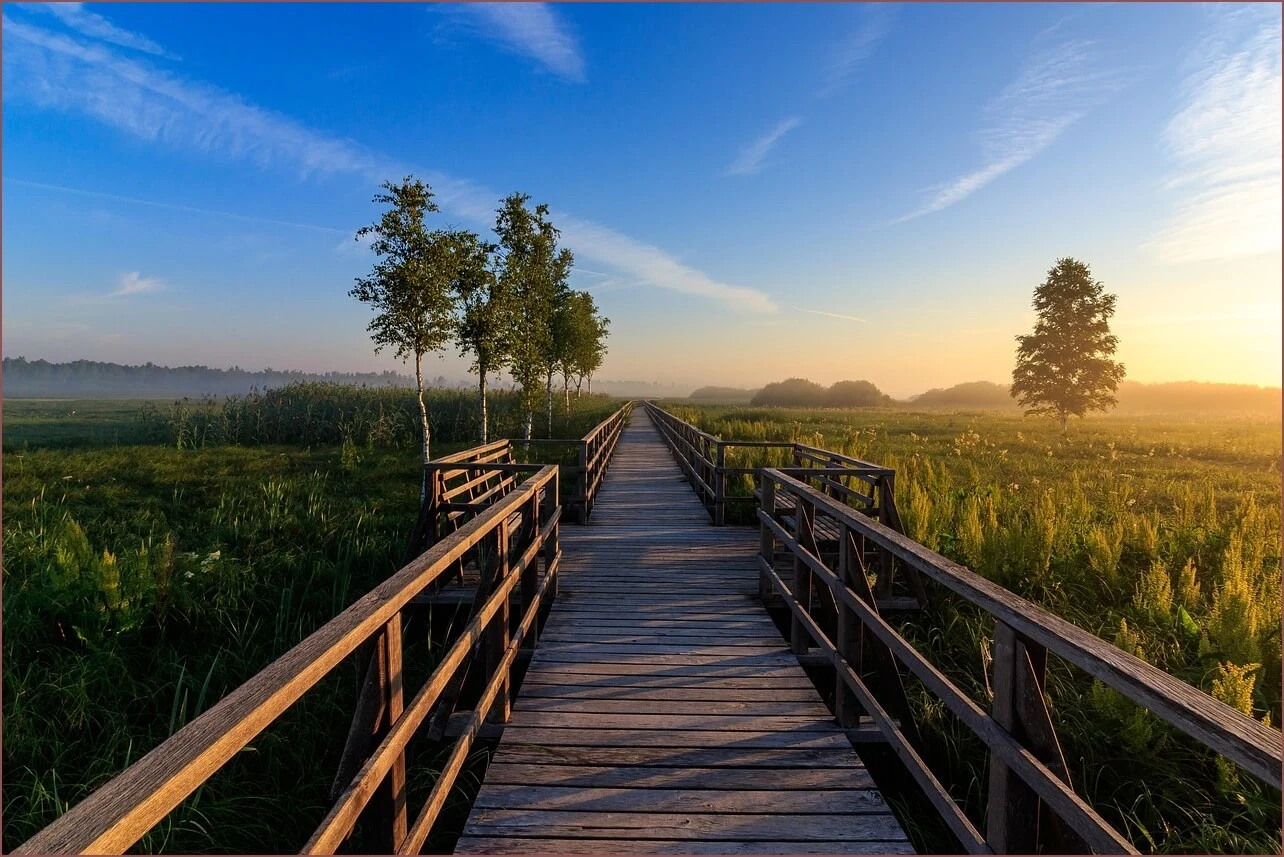 은행 예금금리비교