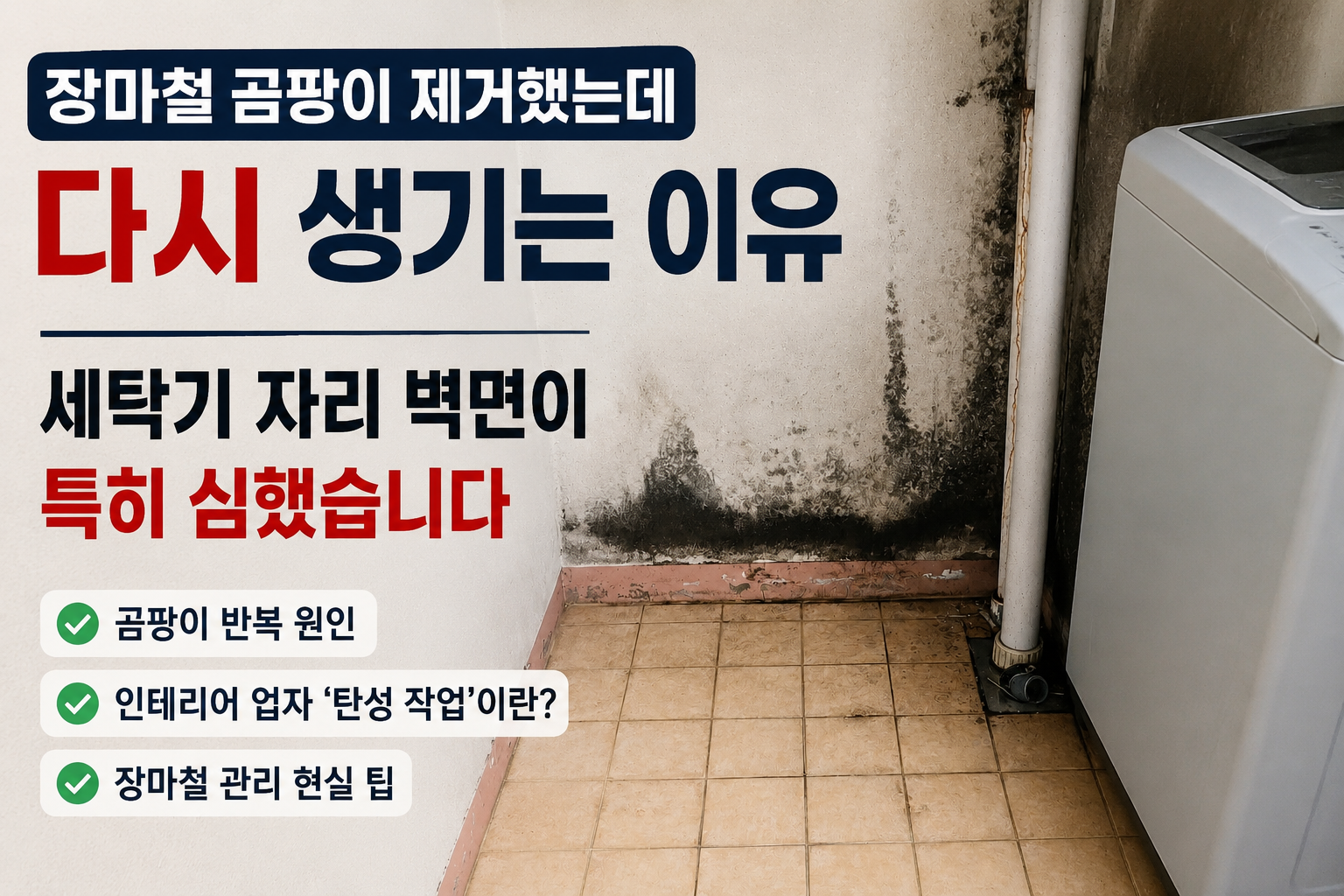 장마철 세탁기 자리 벽면에 심하게 번진 곰팡이 모습과 반복 원인을 설명하는 이미지