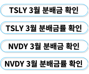 테슬라, 엔비디아 3월 배당금