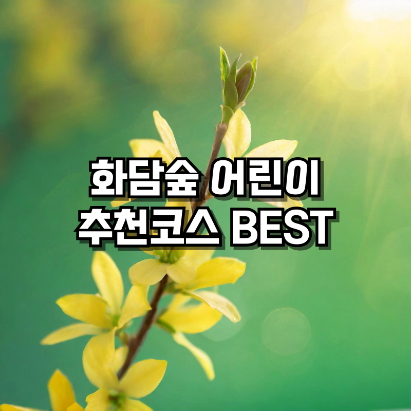 화담숲 어린이 추천 코스 BEST