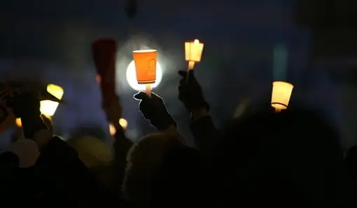 탄핵 각하 뜻