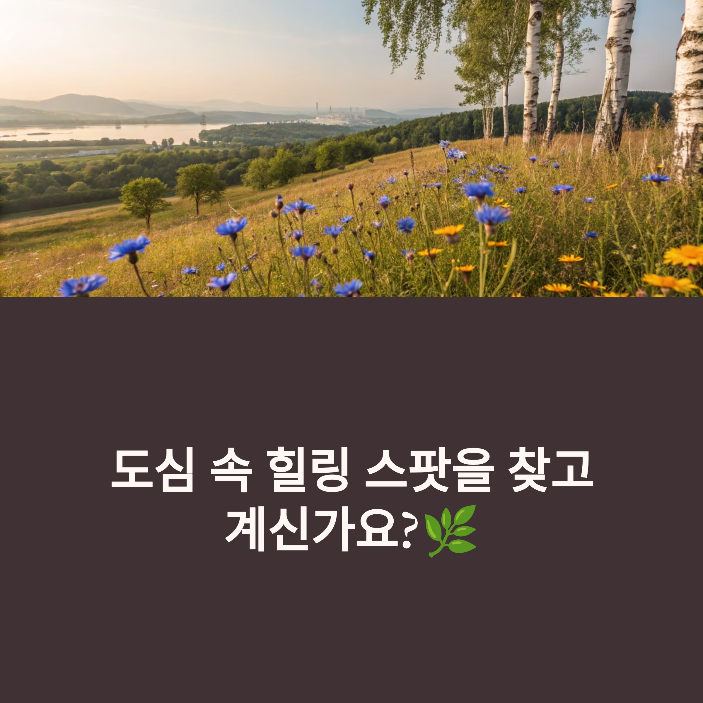 남양주 한강시민공원 삼패지구