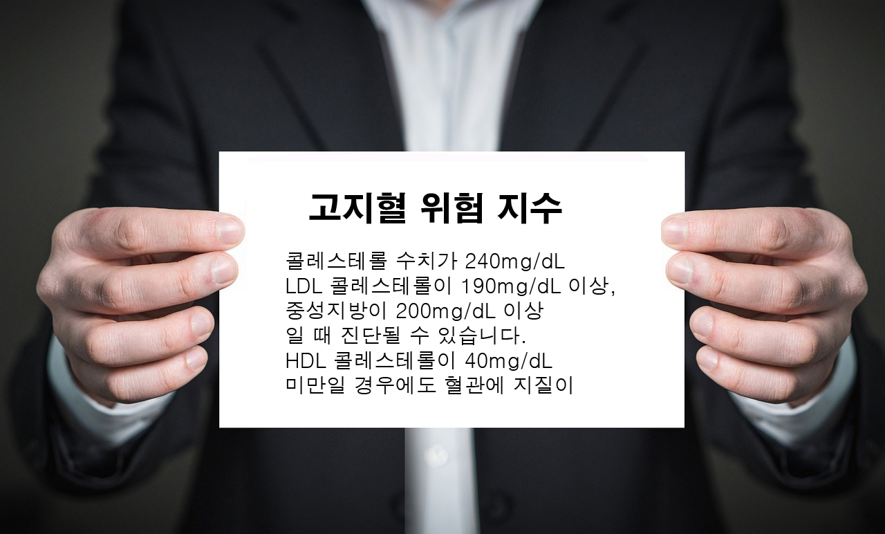 고지혈증 자가진단 체크리스트