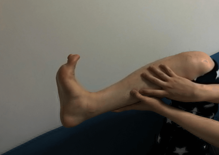 다리 쥐는 왜 나는 걸까요?