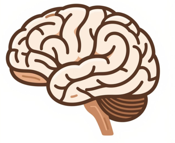 비문증 자연치유 방법
