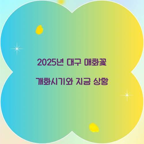 매화꽃 개화시기