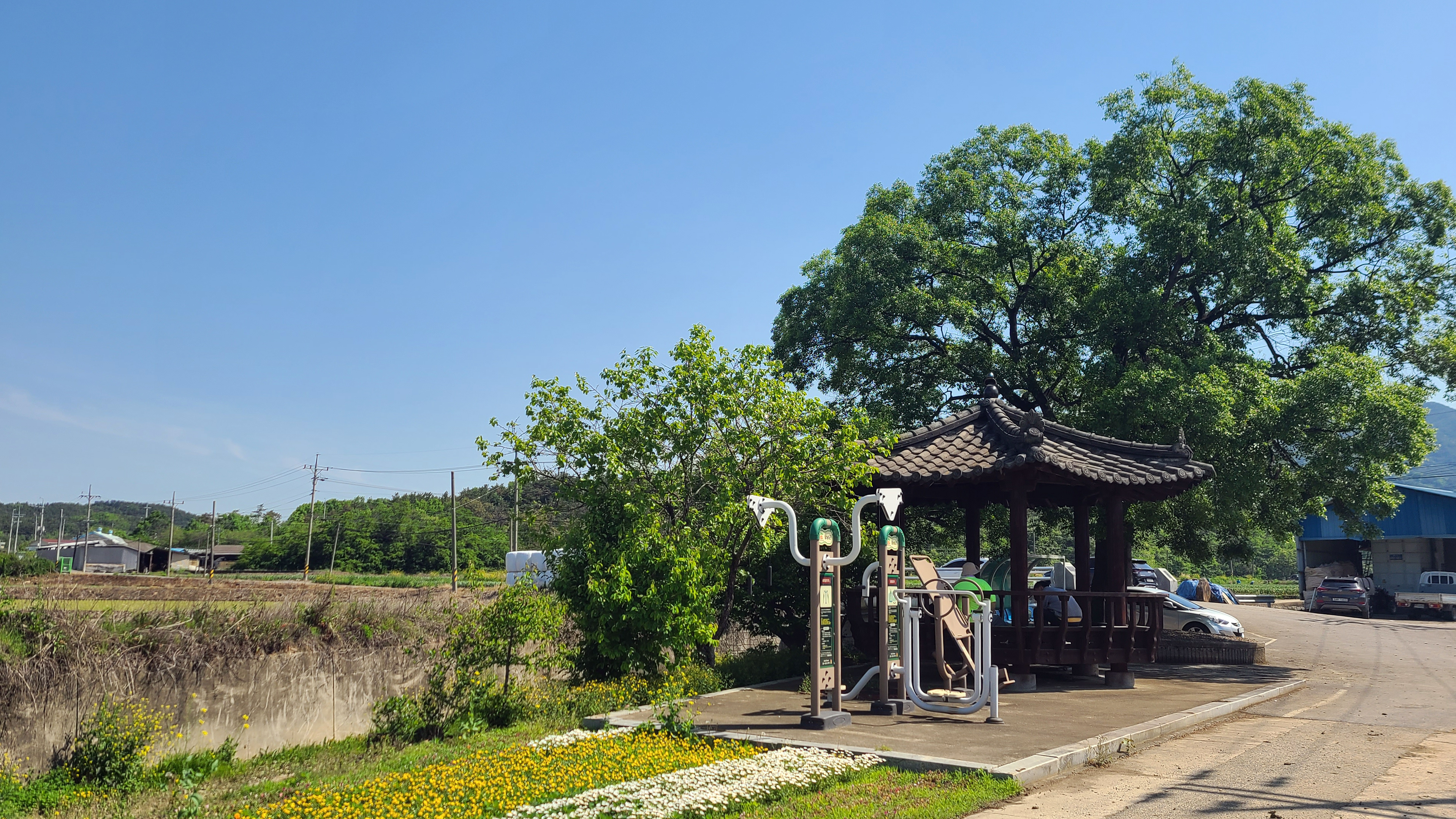 마늘종을 뽑는 날