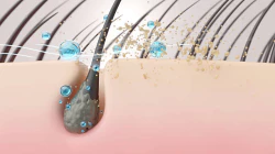 머리 감는 꿈해몽5