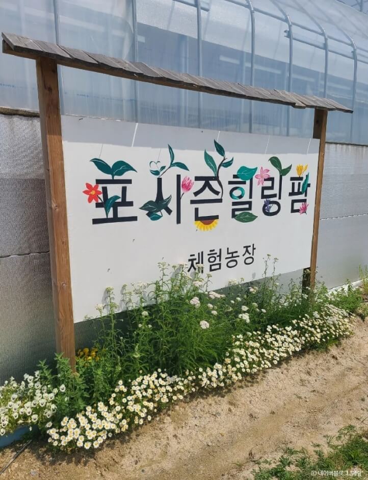 수원 가볼만한곳 베스트 10