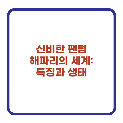 신비한 팬텀 해파리의 세계: 특징과 생태