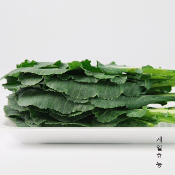 케일 효능 : 케일 효능 알고 드세요!