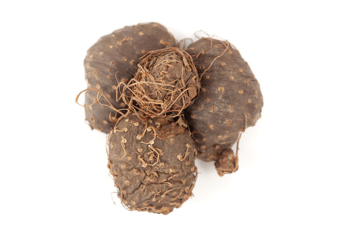 하늘마 효능 11가지 총정리