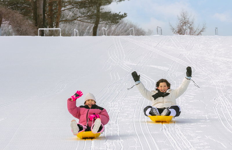 스노위랜드 비발디파크 눈썰매장