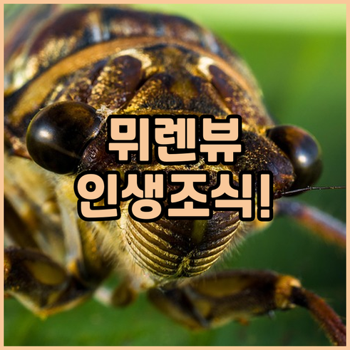 아이거 융프라우 뷰가 보이는 뮈렌 호..