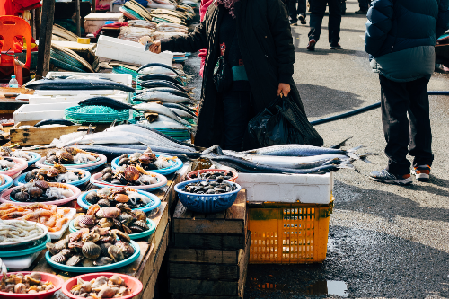 고향 사랑의 날 공모 방법
