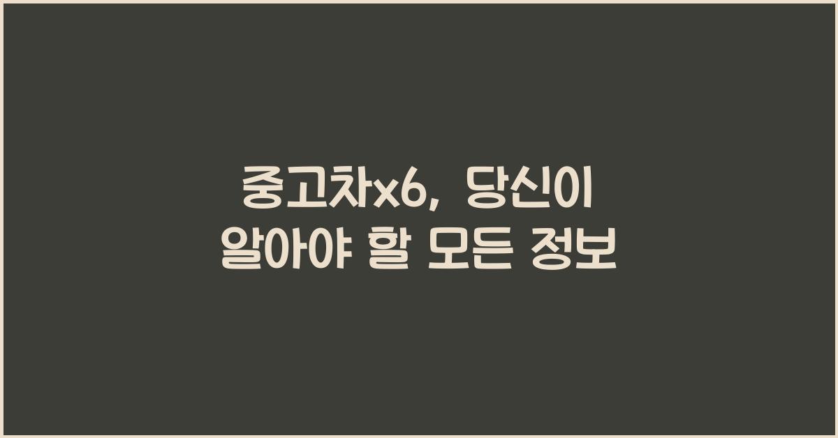 중고차x6
