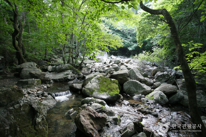 함양 가볼만한곳 베스트 10