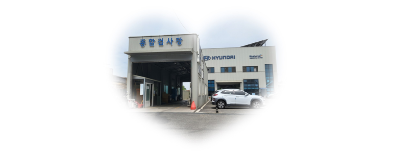 세종시 블루핸즈