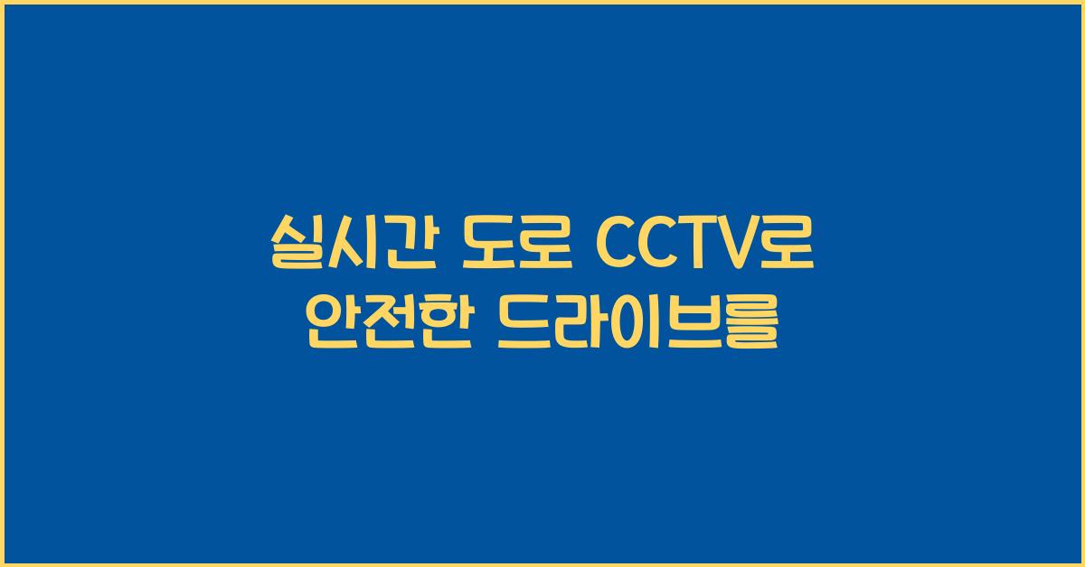 실시간 도로 cctv