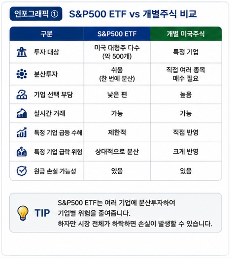 개별주식과 S&amp;P500 ETF 비교